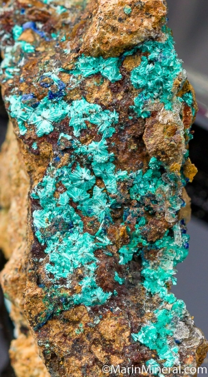 Clinotyrolite from Bolivia Nickel Mine, Lovelock, Perhsing Co., Nevada, USA [db_pics/pics/CT300c.jpg]