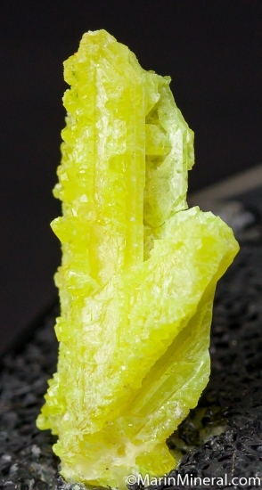 Sulfur after Selenite from Silver Peak, Esmeralda Co., Nevada, USA [db_pics/pics/CT306b.jpg]