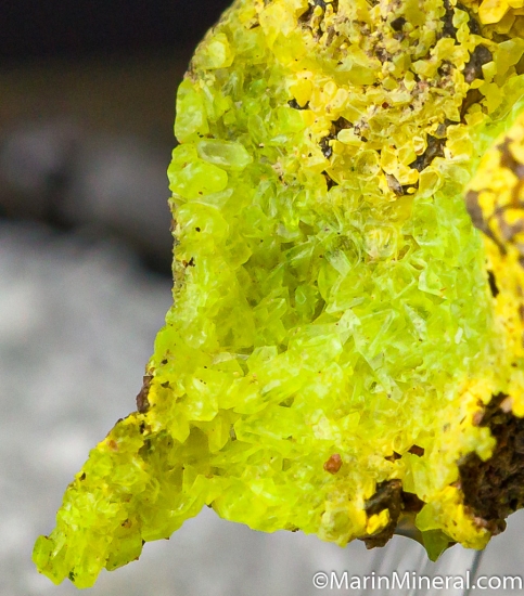 Liebigite from Schwartzwalder Mine, Ralston Buttes Mining District, Jefferson Co., Colorado, USA [db_pics/pics/CT548d.jpg]