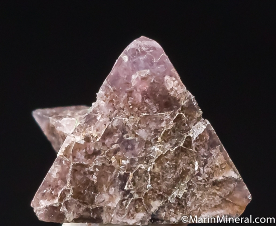 Chambersite from Venice Salt Dome, Lousiana, USA [db_pics/pics/CT606b.jpg]