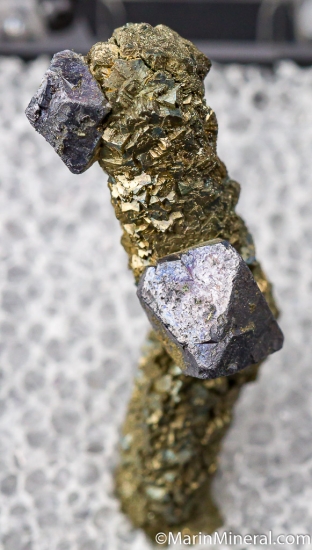 Galena on Pyrite stalactite from Sweetwater Mine, Reynolds Co., Missouri, USA [db_pics/pics/D474a.jpg]