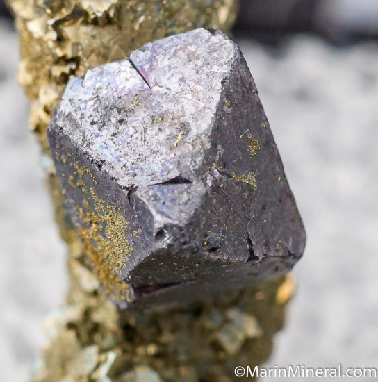 Galena on Pyrite stalactite from Sweetwater Mine, Reynolds Co., Missouri, USA [db_pics/pics/D474d.jpg]