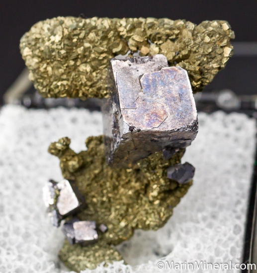 Galena on Pyrite after Anhydrite from Sweetwater Mine, Reynolds Co., Missouri, USA [db_pics/pics/D475a.jpg]