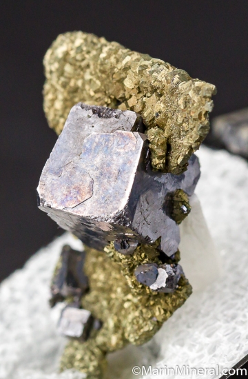 Galena on Pyrite after Anhydrite from Sweetwater Mine, Reynolds Co., Missouri, USA [db_pics/pics/D475b.jpg]