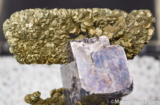 Galena on Pyrite after Anhydrite from Sweetwater Mine, Reynolds Co., Missouri, USA [db_pics/pics/D475d.jpg]