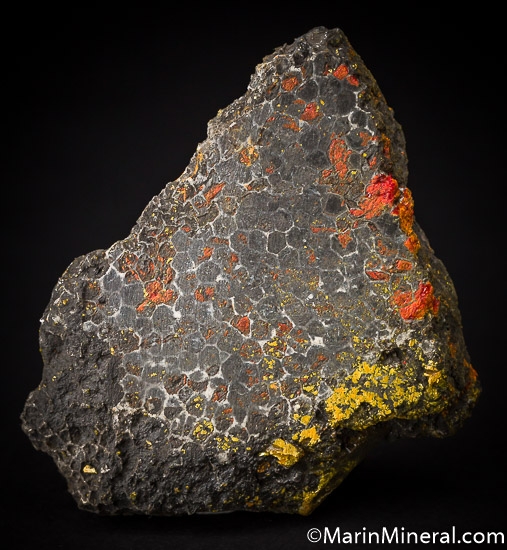 Realgar and Orpiment replacing fossil coral from Gold Bar Mine, Eureka Co., Nevada, USA [db_pics/pics/J261a.jpg]