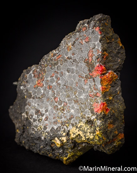 Realgar and Orpiment replacing fossil coral from Gold Bar Mine, Eureka Co., Nevada, USA [db_pics/pics/J261b.jpg]