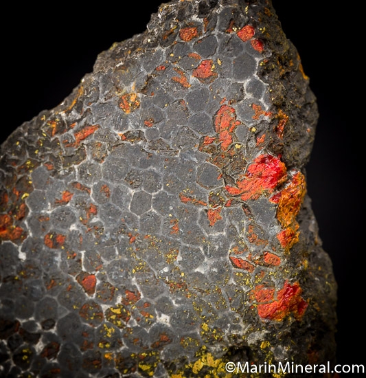 Realgar and Orpiment replacing fossil coral from Gold Bar Mine, Eureka Co., Nevada, USA [db_pics/pics/J261c.jpg]