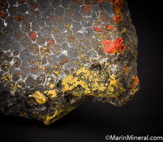 Realgar and Orpiment replacing fossil coral from Gold Bar Mine, Eureka Co., Nevada, USA [db_pics/pics/J261d.jpg]