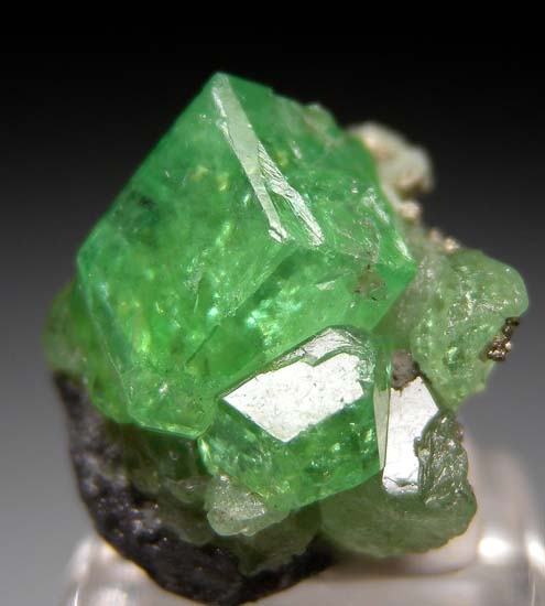 Tsavorite with Pyrite from Merelani Hills, Arusha, Tanzania [db_pics/pics/J309b.jpg]
