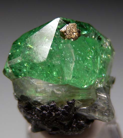Tsavorite with Diopside, Pyrite from Merelani Hills, Arusha, Tanzania [db_pics/pics/J310d.jpg]