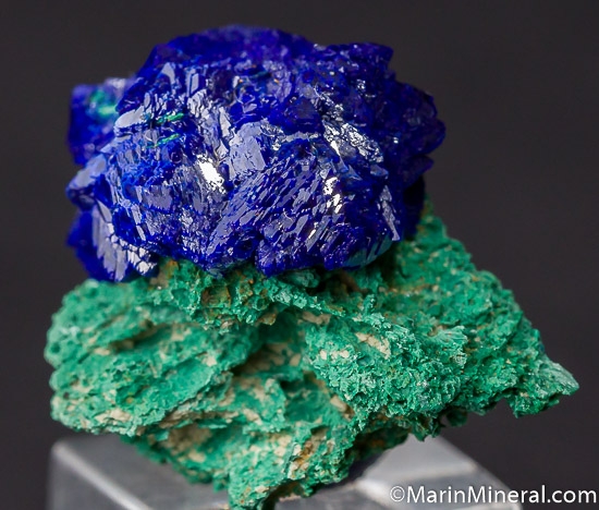Azurite on Malachite from Nevada Lode, San Juan County, Utah [db_pics/pics/J464a.jpg]