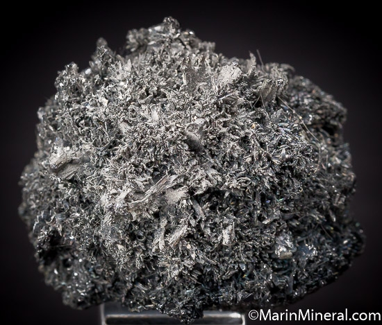 Franckeite (Var: PotosÃ­ite) with Franckeite from San Jose Mine, Cercado Province, Oruro City, Oruro Dept., Bolivia [db_pics/pics/J546a.jpg]