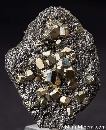 Pyrite on Graphite from Merelani Hills, Arusha, Tanzania [db_pics/pics/K318a.jpg]