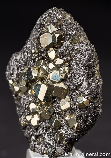 Pyrite on Graphite from Merelani Hills, Arusha, Tanzania [db_pics/pics/K318b.jpg]