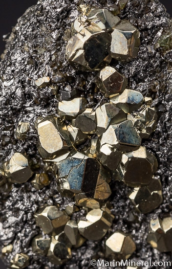 Pyrite on Graphite from Merelani Hills, Arusha, Tanzania [db_pics/pics/K318c.jpg]