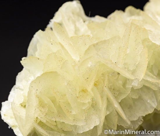 Ankerite from Carson Hill Gold Mine, Calaveras Co., California, USA [db_pics/pics/K703d.jpg]