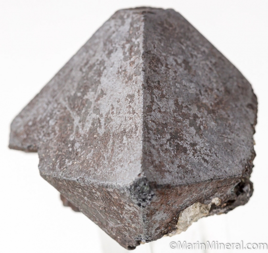 Alabandite from Merelani Hills, Arusha, Tanzania [db_pics/pics/K783aa.jpg]