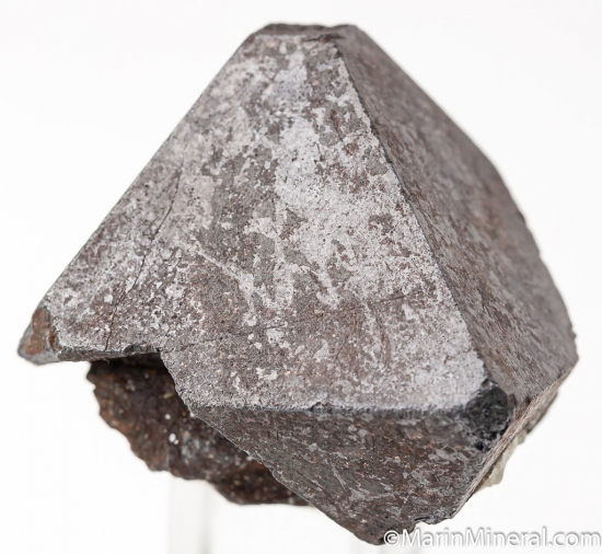 Alabandite from Merelani Hills, Arusha, Tanzania [db_pics/pics/K783ba.jpg]