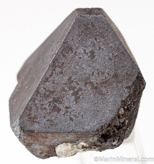 Alabandite from Merelani Hills, Arusha, Tanzania [db_pics/pics/K783ca.jpg]