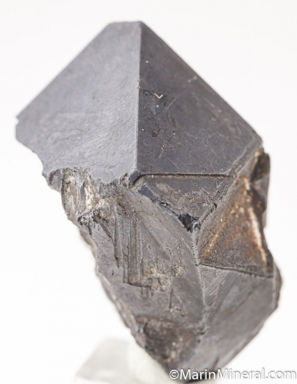 Alabandite from Merelani Hills, Arusha, Tanzania [db_pics/pics/K787ca.jpg]