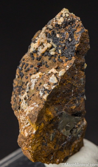 Kentrolite from Big Chief Mine, Hillsboro, Sierra Co., New Mexico, USA [db_pics/pics/LL296b.jpg]