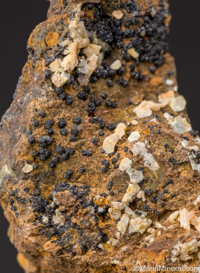 Kentrolite from Big Chief Mine, Hillsboro, Sierra Co., New Mexico, USA [db_pics/pics/LL296c.jpg]