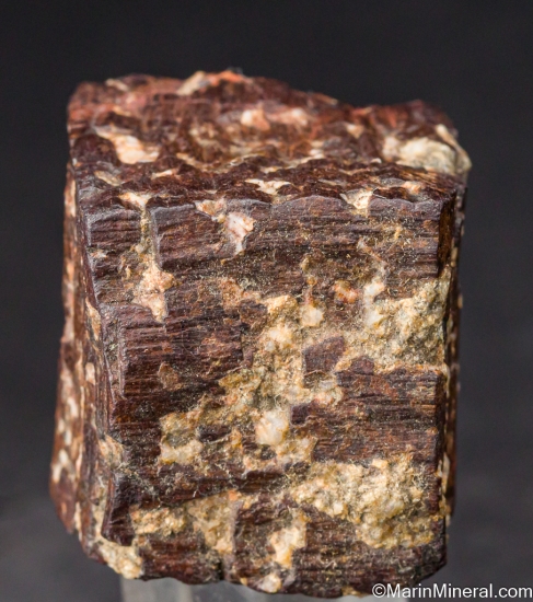 Goethite after Pyrite from Silverzone Pass, Wendover, Elko Co., Nevada, USA [db_pics/pics/LL396b.jpg]