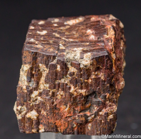 Goethite after Pyrite from Silverzone Pass, Wendover, Elko Co., Nevada, USA [db_pics/pics/LL396c.jpg]