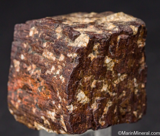 Goethite after Pyrite from Silverzone Pass, Wendover, Elko Co., Nevada, USA [db_pics/pics/LL396e.jpg]