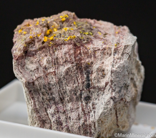 Carnotite from Mashamba West Mine, Katanga, Congo (DRC) [db_pics/pics/LL445c.jpg]