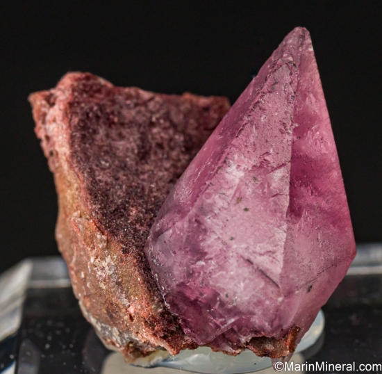 Cobaltian Calcite from Mashamba West Mine, Katanga, Congo (DRC) [db_pics/pics/LL474a.jpg]