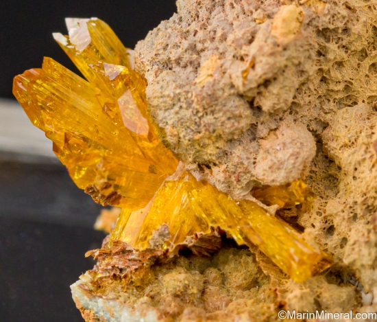 Legrandite from Mina Oujela, Mapimi, Durango, Mexico [db_pics/pics/LL487d.jpg]