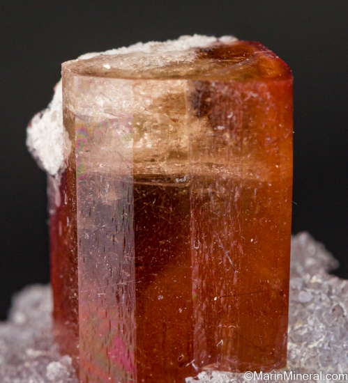 Topaz on Hyalite from Mina Veronica, El Copetillo, Villa GarcÃ­a Municipality, Zacatecas, Mexico [db_pics/pics/LL488e.jpg]