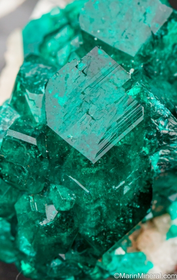 Dioptase from Tsumeb, Namibia [db_pics/pics/LL494e.jpg]