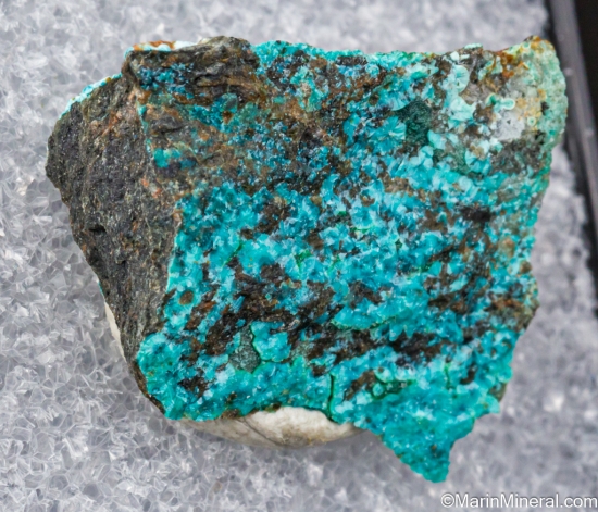 McGuinnessite, Vuagnatite from Copper King Mine, Red Mountain, Mendocino Co., California, USA [db_pics/pics/LL632b.jpg]