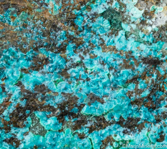 McGuinnessite, Vuagnatite from Copper King Mine, Red Mountain, Mendocino Co., California, USA [db_pics/pics/LL632d.jpg]