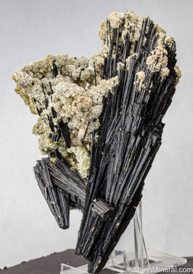 Schorl from Thompson Peak, Plumas Co., California, USA [db_pics/pics/LL880a.jpg]