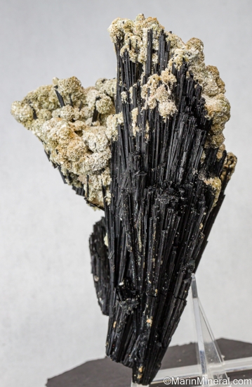 Schorl from Thompson Peak, Plumas Co., California, USA [db_pics/pics/LL880c.jpg]