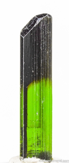 Tourmaline from St. Anne's Mine, Miami, Karoi District, Zimbabwe [db_pics/pics/LL943b.jpg]