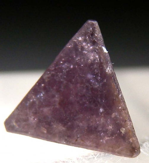 Chambersite from Venice Salt Dome, Louisiana, USA [db_pics/pics/LV210b.jpg]