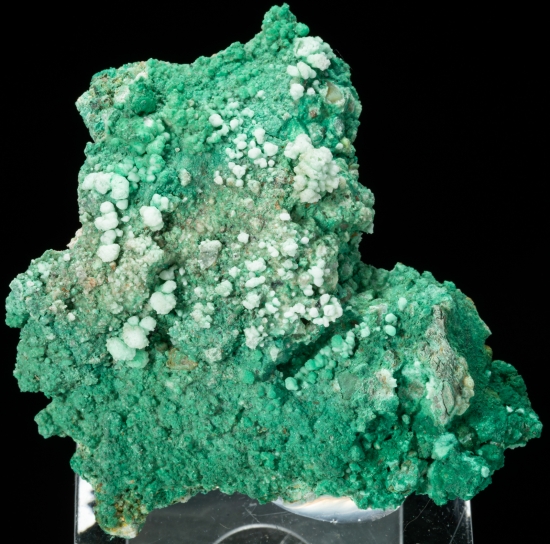 Atacamite from Knockmahon, Bonmahon, Co. Waterford, Ireland [db_pics/pics/LV242a.jpg]