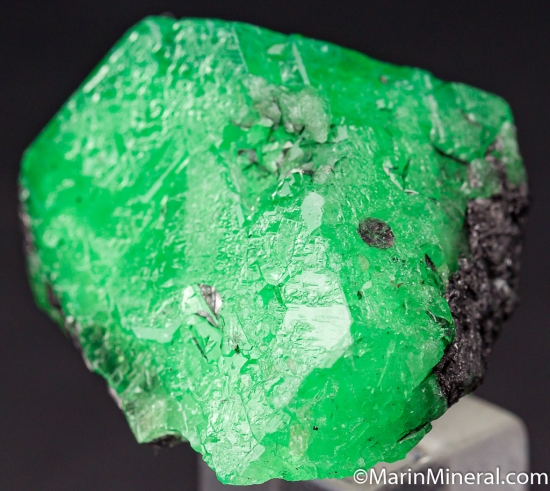 Tsavorite from Merelani Hills, Arusha, Tanzania [db_pics/pics/M409b.jpg]