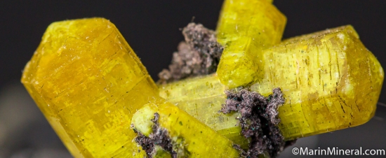 Ettringite from N'Chwanning Mine, Kuruman, South Africa [db_pics/pics/M465d.jpg]