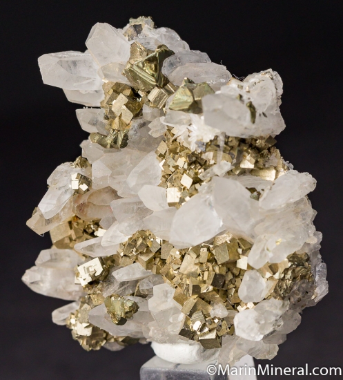 Quartz with Pyrite from Oppu Mine, Amori, honshu, Japan [db_pics/pics/M468b.jpg]