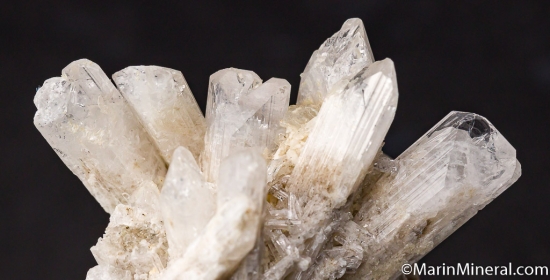Danburite from Charcas, San luis Potosi, Mexico [db_pics/pics/M493d.jpg]