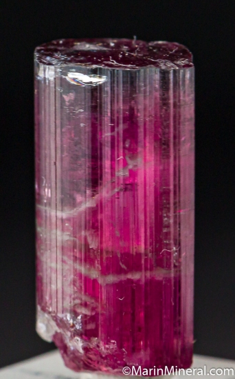 Tourmaline from Aricanga Mine, Minas Gerais, Brazil [db_pics/pics/M638a.jpg]