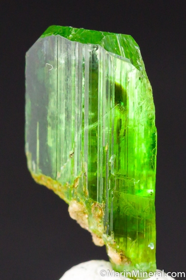 Chrome Tremolite from Merelani Hills, Arusha, Tanzania [db_pics/pics/M851b.jpg]