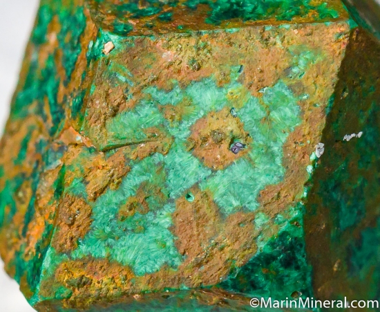 Malachite after Cuprite from Chessy, Rhone-Alpes, France [db_pics/pics/M875d.jpg]
