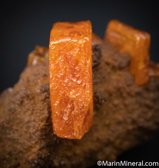 Wulfenite from Los Lamentos, Chihuahua, Mexico [db_pics/pics/SM481c.jpg]
